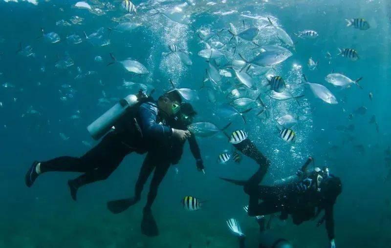 天津海教园挂牌5宗地块 总起始价19.95亿元